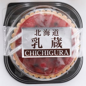 【5号】「乳蔵」ミックスベリータルト