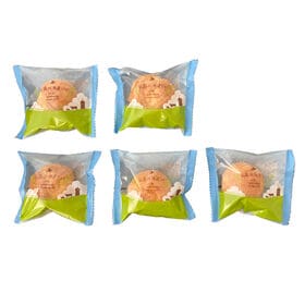 【5個】「乳蔵」ミルクシューセット