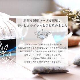 【1.2g×8包入】《国産》オレガノティ