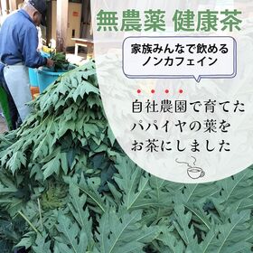 【1g×15包】パパイヤ葉茶