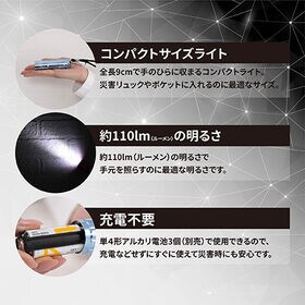 【ライトブルー】LEDminiライトカラビナ付き