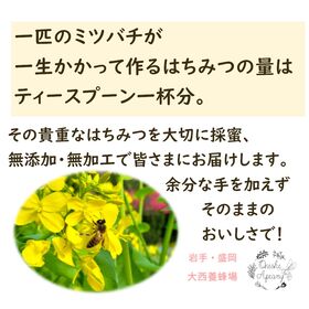 【2.5g×20本】スティックハニー[盛岡産MIX]大西養蜂場　贈り物や非常時の備えとしてもお勧め