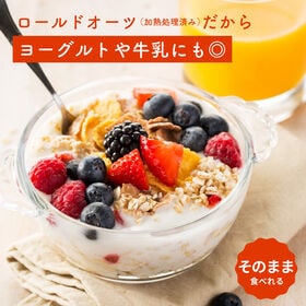 【500g】オートミール (500g×1袋)