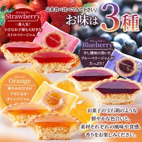 【30個】3種の果実のジュエルタルト