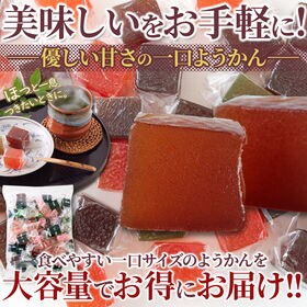 【お徳用】一口ようかん500g