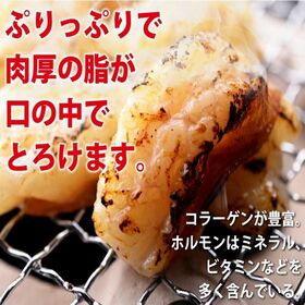 【1kg(200g×5パック)】国産 黒毛和牛 ホルモン (牛 小腸)