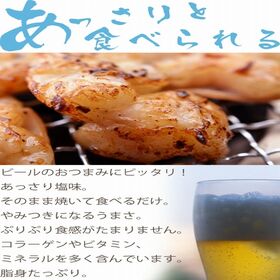 【1kg(100g×10パック)】国産牛 塩ホルモン (牛 小腸)