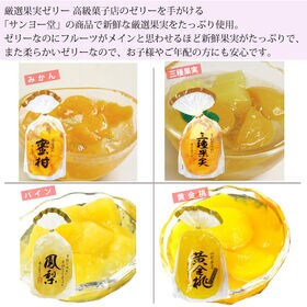 【1袋350g×6袋】サンヨー堂 果実ゼリー8種より厳選5種以上6袋セット