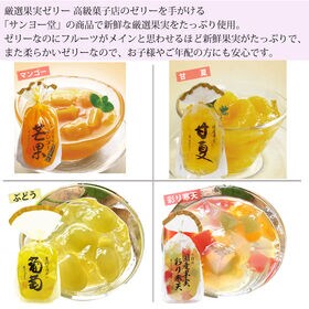 【1袋350g×6袋】サンヨー堂 果実ゼリー8種より厳選5種以上6袋セット