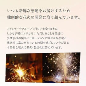 【約5人用】葛城煙火 あっぱれ花火祭り デラックス 超メガ盛り (両面タイプ)