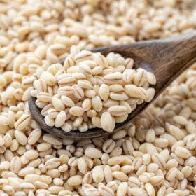 【10kg】岡山県産スーパーもち麦『フクミファイバー』