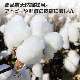 半袖 ミント 100 Tシャツ 100％綿 無地 子供 キッズ