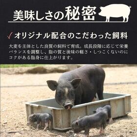【計1kg/500g×2パック】静岡県産 高級黒豚(純粋バークシャー種) 焼肉用ももスライス