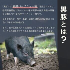 【計1kg/500g×2パック】静岡県産 高級黒豚(純粋バークシャー種) 焼肉用方ロース スライス