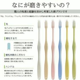 【12本】職人の歯ブラシ 先細 コンパクトヘッド 歯の隅々まで磨ける 日本製 6本組x2箱