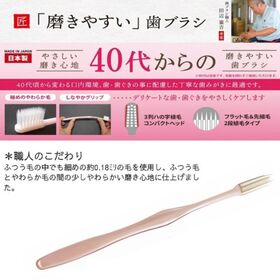 【24本】40代からの 磨きやすい 歯ブラシ 職人 田辺重吉考案 6本組【先細・毛少しやわらかめ】