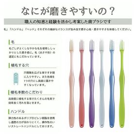 【24本】40代からの 磨きやすい 歯ブラシ 職人 田辺重吉考案 6本組【先細・毛少しやわらかめ】