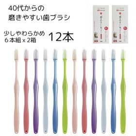 【12本】40代からの 磨きやすい 歯ブラシ 職人 田辺重吉...