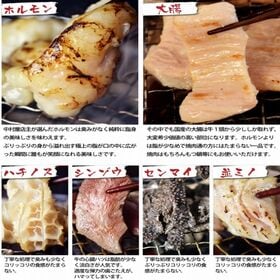 【600g】ホルモン6盛り(ホルモン 大腸 ハチノス シンゾウ センマイ 並ミノ )
