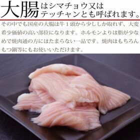 【1kg(100g×10パック)】国産牛 大腸(シマチョウ テッチャン)