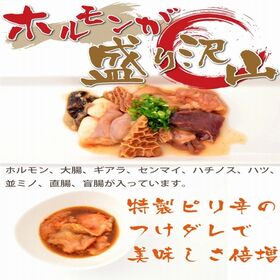 【1kg(100g×10パック)】国産牛 ピリ辛ミックスホルモン (牛 小腸)