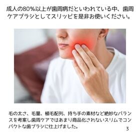 【24本／コンパクトヘッド】 コンパクト歯ブラシ 奥まで届く【ふつう・小さめヘッド・歯周ケア】