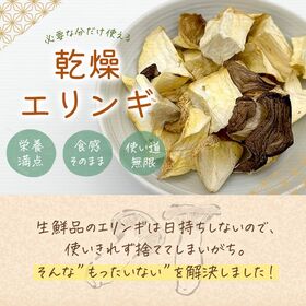 【20g×2袋】長野県産 乾燥エリンギ 無添加