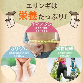 【20g】長野県産 乾燥エリンギ 無添加