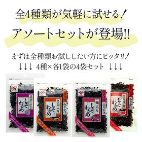 【4種/4袋】生タイプふりかけお試しセット