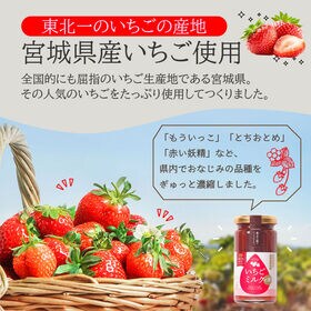 【200g×2本】宮城県産 いちごミルクの素