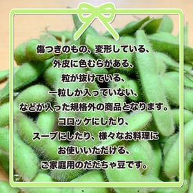 【5kg】 山形県鶴岡市産 だだちゃ豆 バラ※ご家庭用