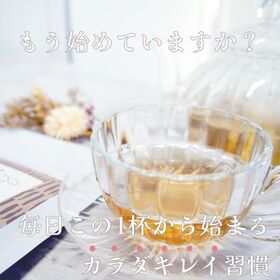 【3g×8包】《国産》ごぼう茶