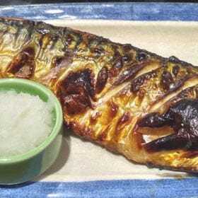 【計約2.4kg/1尾約170g×14枚】さば文化干し