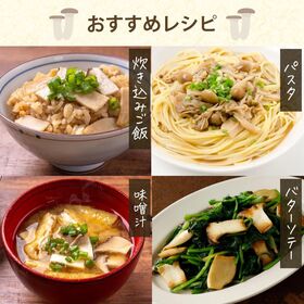 【3種各20g/各1袋ずつ】長野県産 乾燥エリンギ・乾燥えのき・乾燥なめこセット 無添加