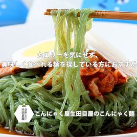 【20食セット】そうめんこんにゃく  簡易包装