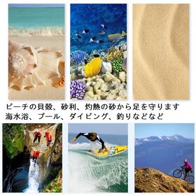 【ブルー／Lサイズ（24~24.5cm）】マリンシューズハードタイプ