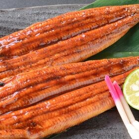 【2尾(約250-280g×2尾)】＜特大＞うなぎ蒲焼 タレ、山椒付き　計約500~560gの大容量