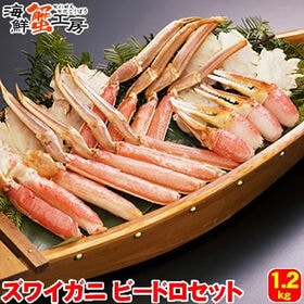 【計約1.2kg】生冷凍 ズワイガニ ビードロカット 化粧箱入り | ズワイガニの全ての部位を、化粧箱入りにしました！