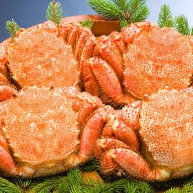 【計約1.6kg/400g前後×4尾】北海道オホーツク海産 ...