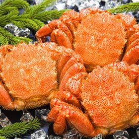 【計約1.5kg/500g前後×3尾】北海道オホーツク海産 ...