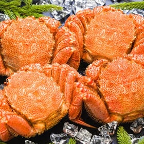 【計約2kg/500g前後×4尾】北海道オホーツク海産 ボイ...