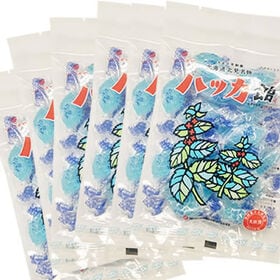 【計600g/100g×6袋】北海道 北見 永田製飴 ハッカ...
