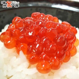 【500g】北海道産 鮭筋子