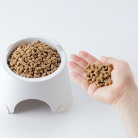 【1kg×1袋】《全犬種 全年齢》馬肉 犬用 完全 無添加 ごはん ドックフード