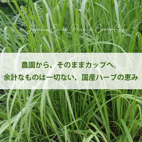 【1.2g×8包】国産 レモングラスティ