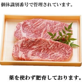 【300g/計2枚】牧場直送！九州産 黒毛和牛ロースステーキ