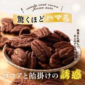 【賞味期限間近】【600g(300g×2)】飴掛けココアピーカンナッツ
