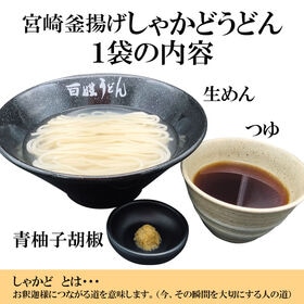 【10食】宮崎釜揚げしゃかどうどん百姓うどん