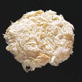 【計600g/60g×10個】豚ももミルフィーユカツ