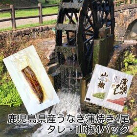 【110g×4尾】鹿児島県産 うなぎ蒲焼き（タレ・山椒付き）